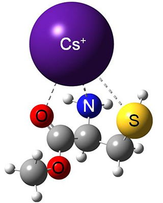 L-メチルシステインとセシウムの結合状態の図