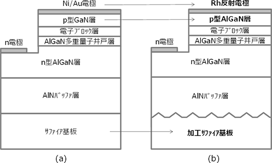 深紫外LEDの従来型と新型の構造図