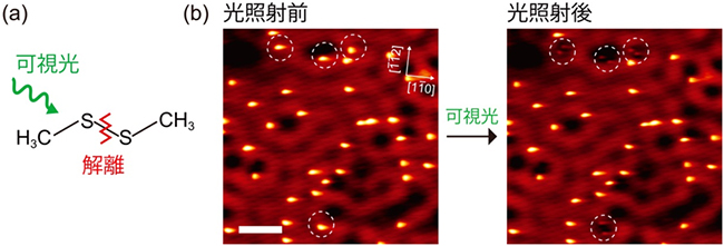 銀基板上でのジメチルジスルフィド分子の可視光分解反応の図