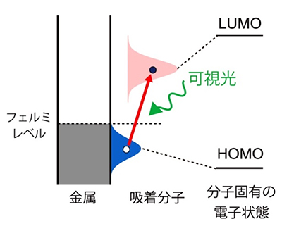 金属基板上における可視光分解反応のメカニズムの図