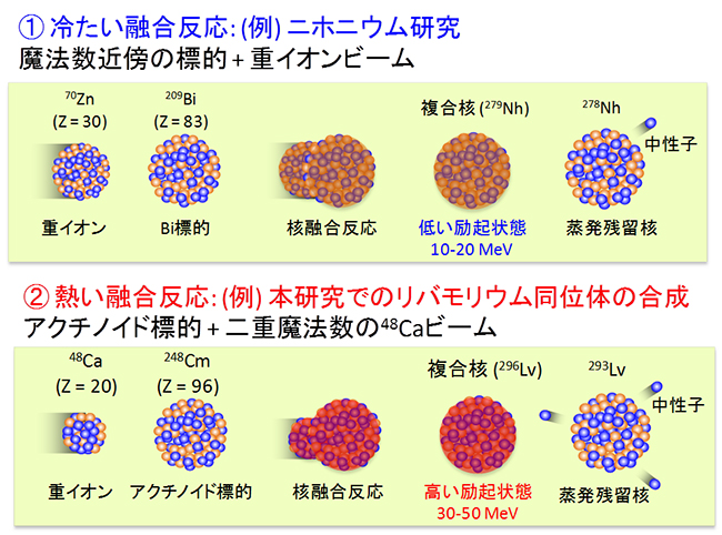 超重元素の合成方法の図