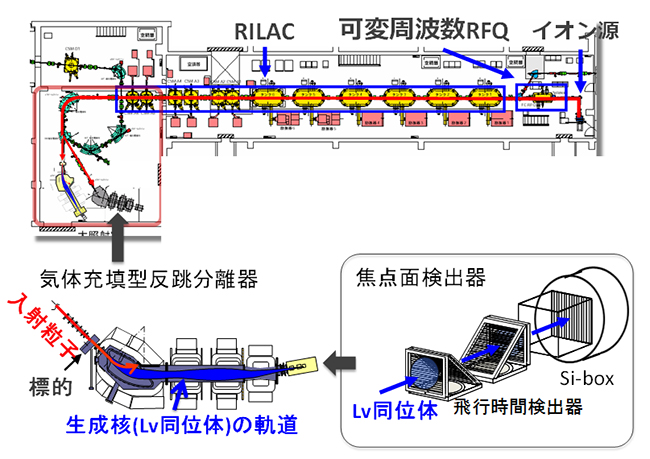 リバモリウム合成実験の概要図