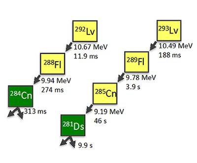 観測された<sup>292</sup>Lvおよび<sup>293</sup>Lvの崩壊連鎖の図