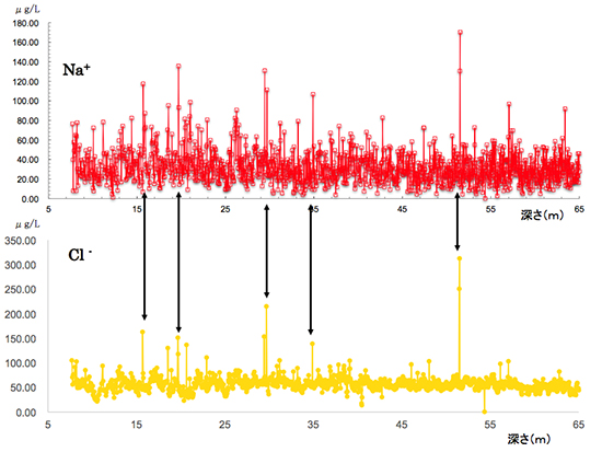 DF01アイスコア中の深さ方向に対するナトリウムイオンと塩化物イオンの濃度の図