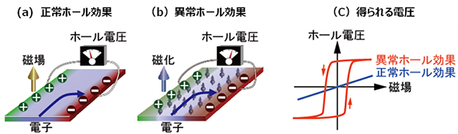 正常ホール効果と異常ホール効果の図