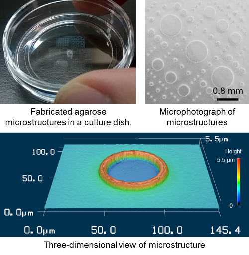 Microstructures