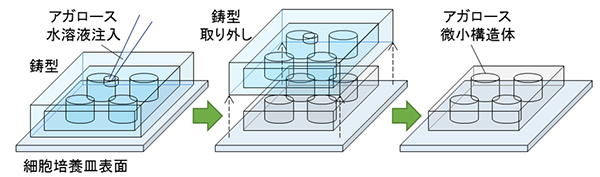 アガロース微小構造体の作製の図