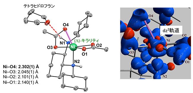ニッケル錯体触媒のX線結晶構造解析（左）と電子密度分布解析（右）の図