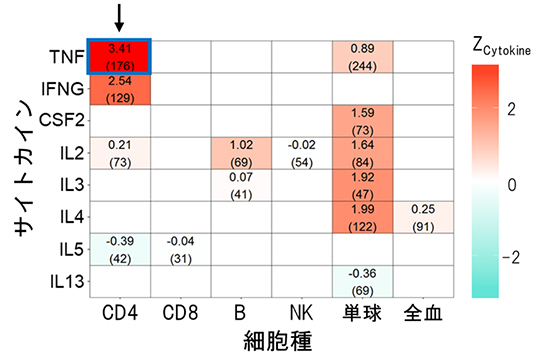 関節リウマチ発症に関わるサイトカイン活性の図