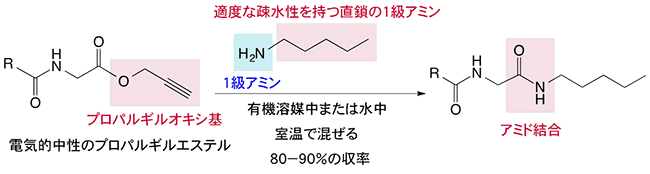 プロパルギルエステルと1級アミンの反応によるアミド結合形成反応の図