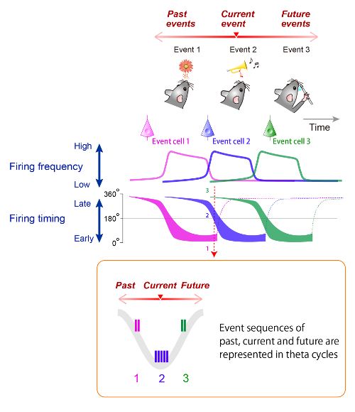 Schematic illustration showing event sequences