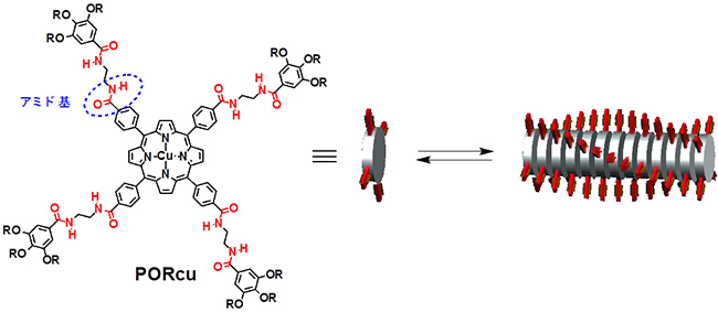 本研究で開発したモノマーPORcuとPORcuの超分子ポリマーの図
