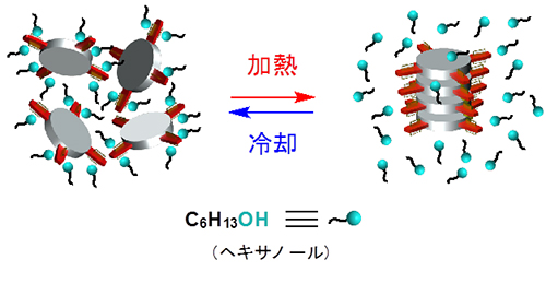 PORcuとヘキサノールを用いた加熱により進行する超分子重合の模式図の画像