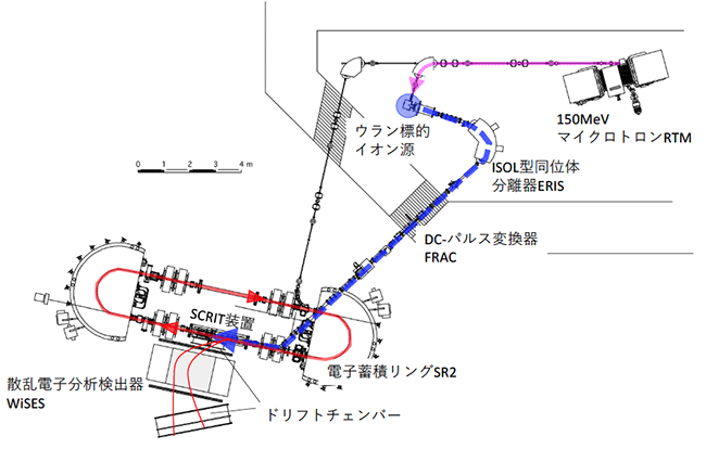 SCRIT電子散乱実験施設（新型電子顕微鏡システム）の図