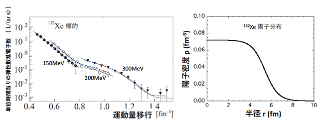 弾性散乱の運動量移行分布（左）とそこから決められた132Xeの陽子分布（右）の図