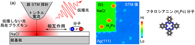 実験の概念図と試料のSTM像の図
