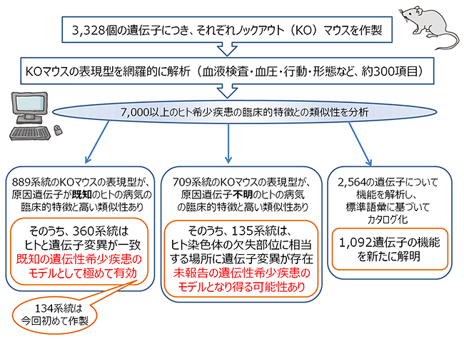 本研究成果のまとめの図