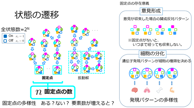 ブーリアンネットワークの状態遷移と固定点の存在意義の図