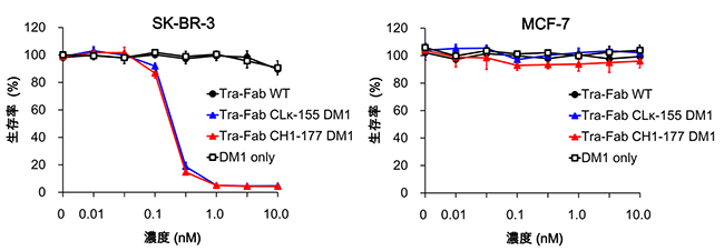 乳がん細胞における武装抗体(Tra-Fab—DM1)の細胞傷害活性の図