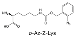 o-Az-Z-Lysの図