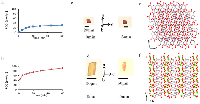 PQQ結晶およびNa2PQQ結晶の溶けやすさと分子配向の図