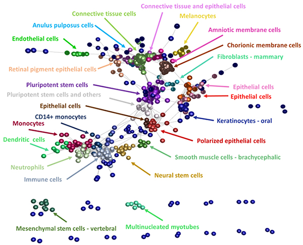 Graph showing expression profile and cell ontology analysis of mature miRNAs