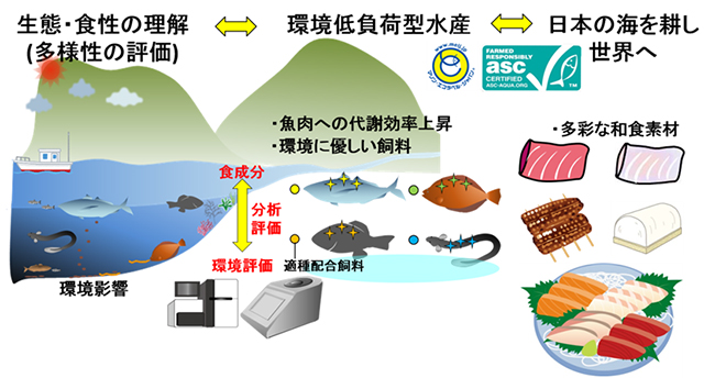 生態・食性の理解に基づく環境低負荷型養殖の図