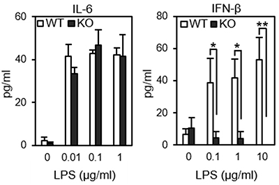 野生型とコアフコース欠損細胞におけるTLR4のリポ多糖（LPS）に対する反応性の図