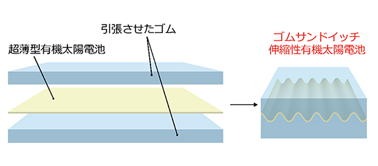 ゴムサンドイッチ構造による高い耐水性を持つ伸縮性有機太陽電池の図