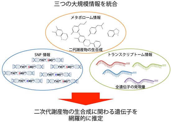 三つの大規模情報を統合した情報解析手法の図