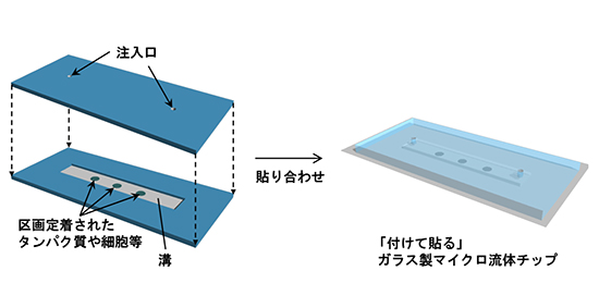 「付けて貼る」ガラス製マイクロ流体チップの概要の図
