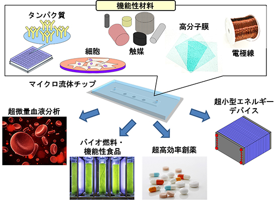 本研究成果の応用展開の図