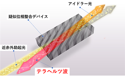 光波長変換に基づく後進テラヘルツ波発振の概略図の画像
