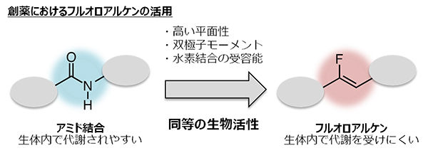 アミド等価体として有望なフルオロアルケンの図