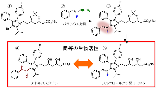 アトルバスタチンのフルオロアルケン型ミミックの合成の図