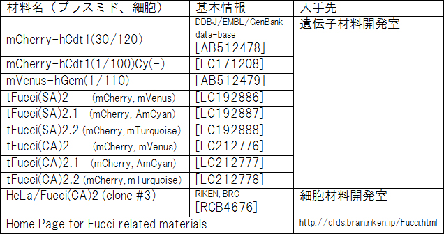 理化学研究所バイオリソースセンターから入手できるFucci関連のプラスミドおよび細胞の表の画像