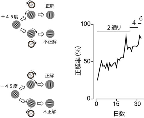 視覚弁別課題の図