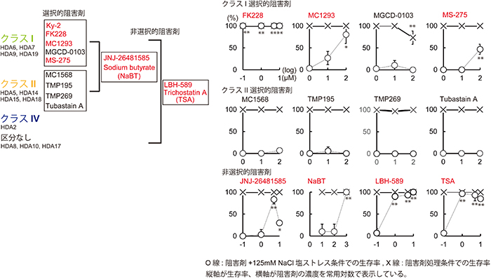 耐塩性向上に効果のあるRPD3-like HDAC阻害剤のスクリーニング結果の図