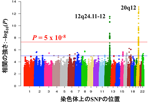 全ゲノム相関解析の結果の図