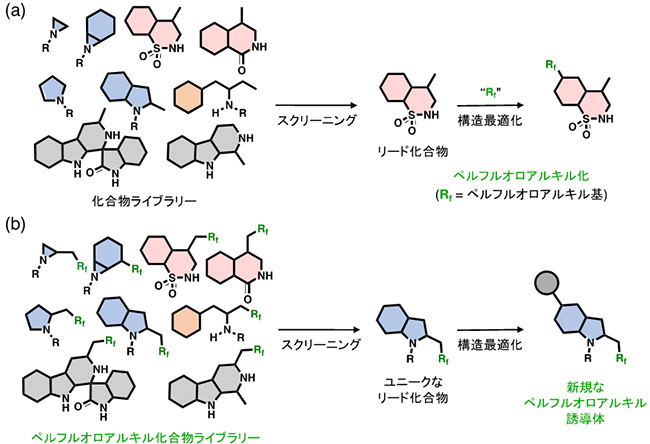 生理活性を持つペルフルオロアルキル化合物の探索プロセスの図