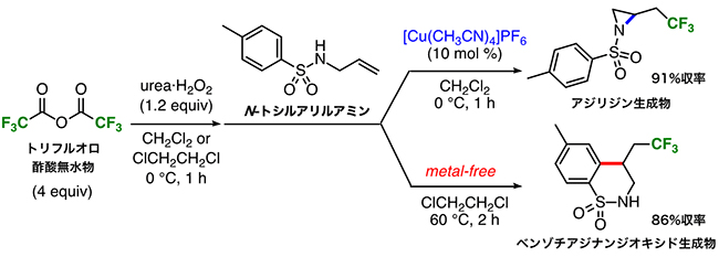 N-トシルアリルアミンを用いた反応の図