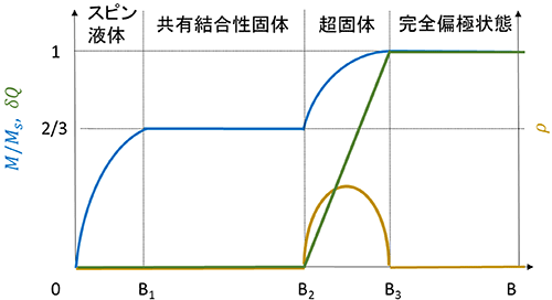 [111]磁場中の量子スピンアイスの相図および物理量の図