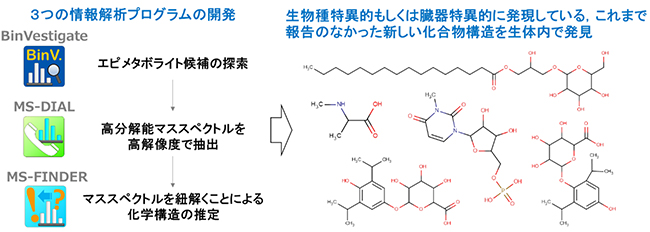 開発した三つのプログラムとその成果の図