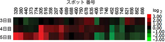 二次元電気泳動によるタンパク質発現プロファイルの解析の図