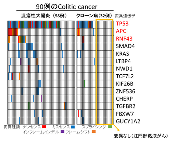 90例のColitic cancerの遺伝子変異の図