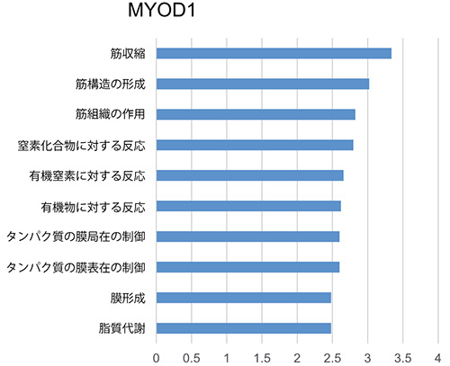 筋分化因子MYOD1によるDNA脱メチル化の解析結果の図