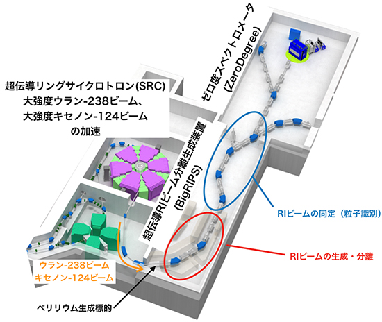 新RI探索実験における超伝導RIビーム分離生成装置（BigRIPS）の配置の図