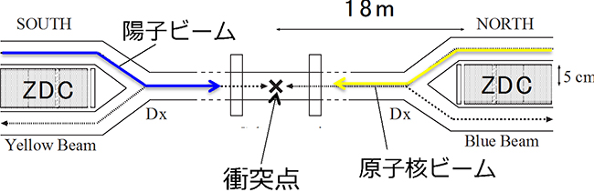PHENIX検出器群の実験装置のレイアウトと衝突点の図