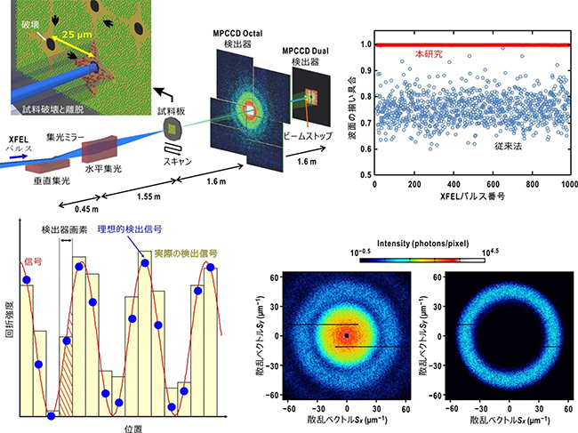 集光XFELパルスの波面のそろい具合を調べる新しい方法の図