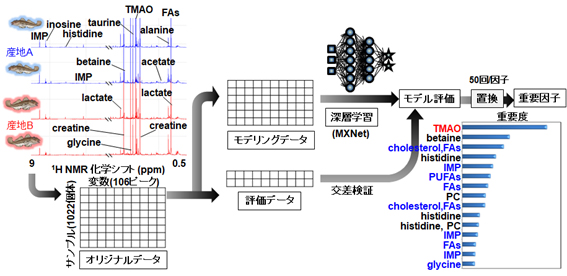 深層学習を用いた重要代謝物探索法
